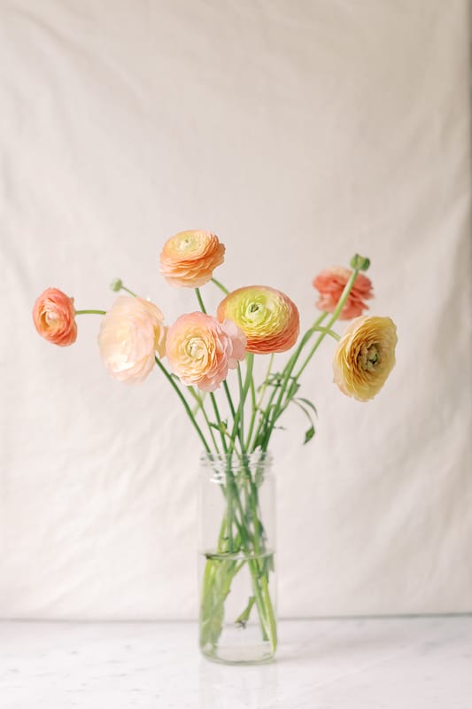 Flowers in a vase