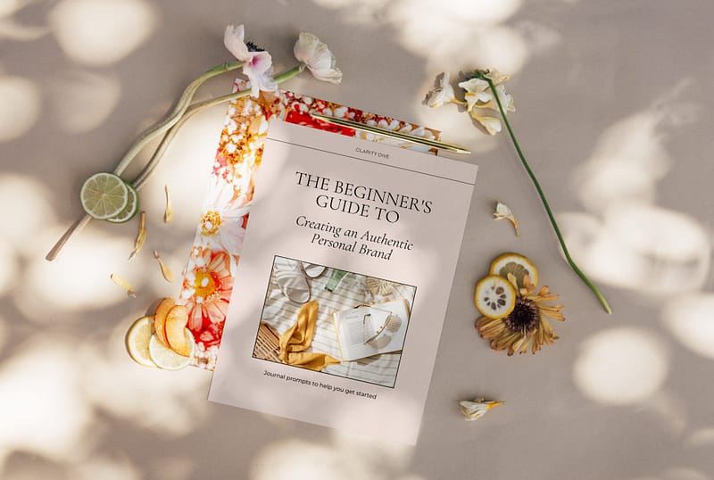 a guide to buy the beginners guide